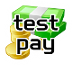 Testzahlung